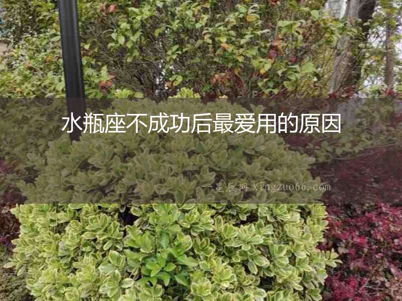 水瓶座不成功后最愛(ài)用的原因
