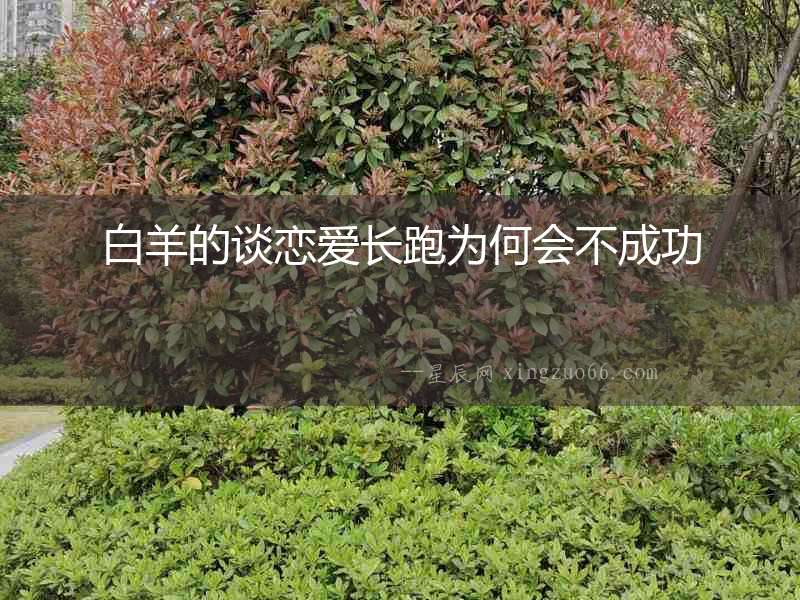 白羊的談戀愛長(zhǎng)跑為何會(huì)不成功