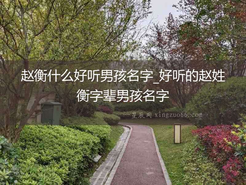 趙衡什么好聽男孩名字_好聽的趙姓衡字輩男孩名字