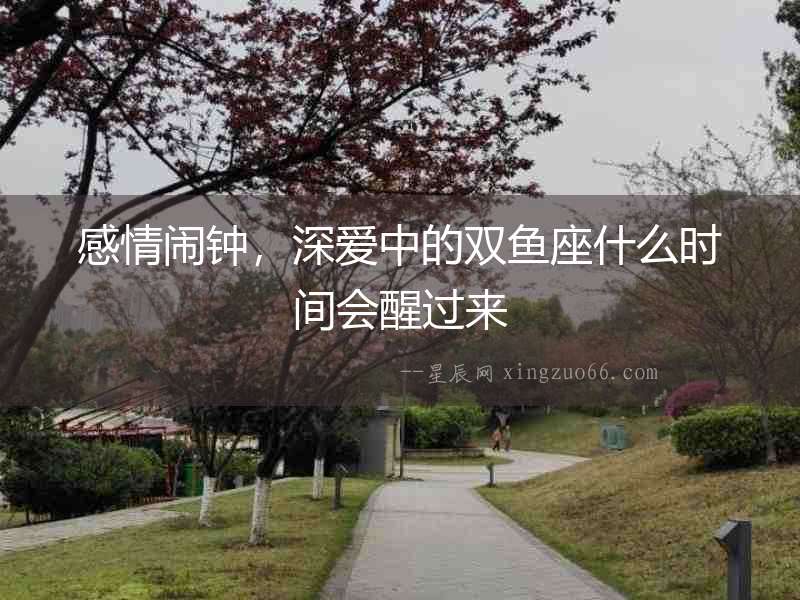 感情鬧鐘，深愛中的雙魚座什么時間會醒過來