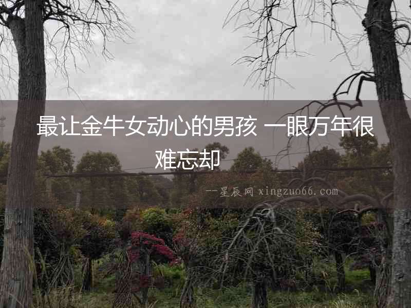 最讓金牛女動(dòng)心的男孩 一眼萬(wàn)年很難忘卻  　　
