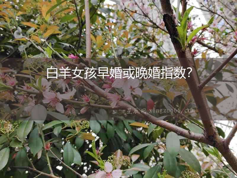 白羊女孩早婚或晚婚指數(shù)？