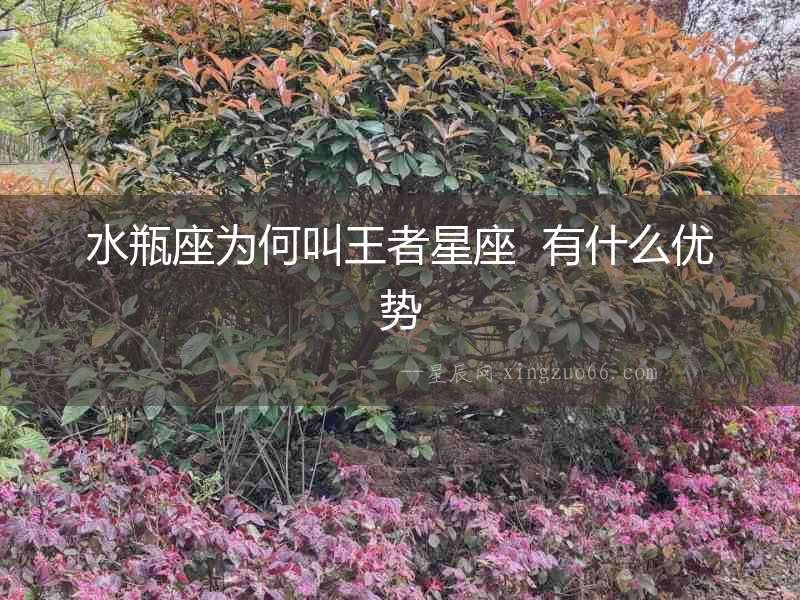 水瓶座為何叫王者星座  有什么優(yōu)勢
