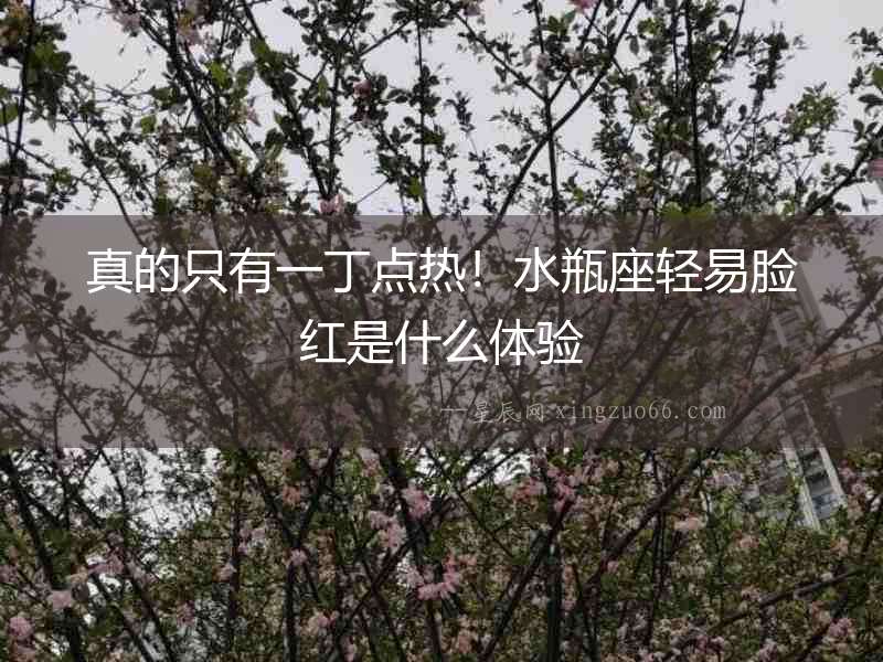 真的只有一丁點熱！水瓶座輕易臉紅是什么體驗
