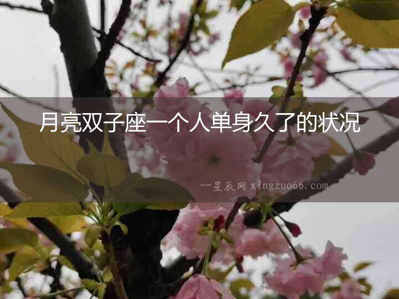 月亮雙子座一個人單身久了的狀況