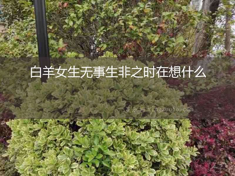 白羊女生無事生非之時在想什么