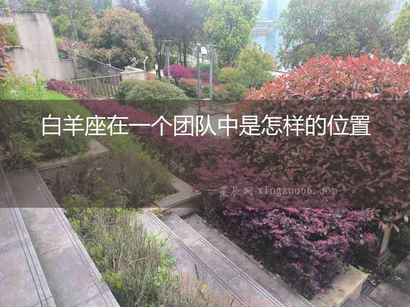 白羊座在一個團隊中是怎樣的位置