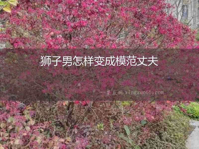 獅子男怎樣變成模范丈夫
