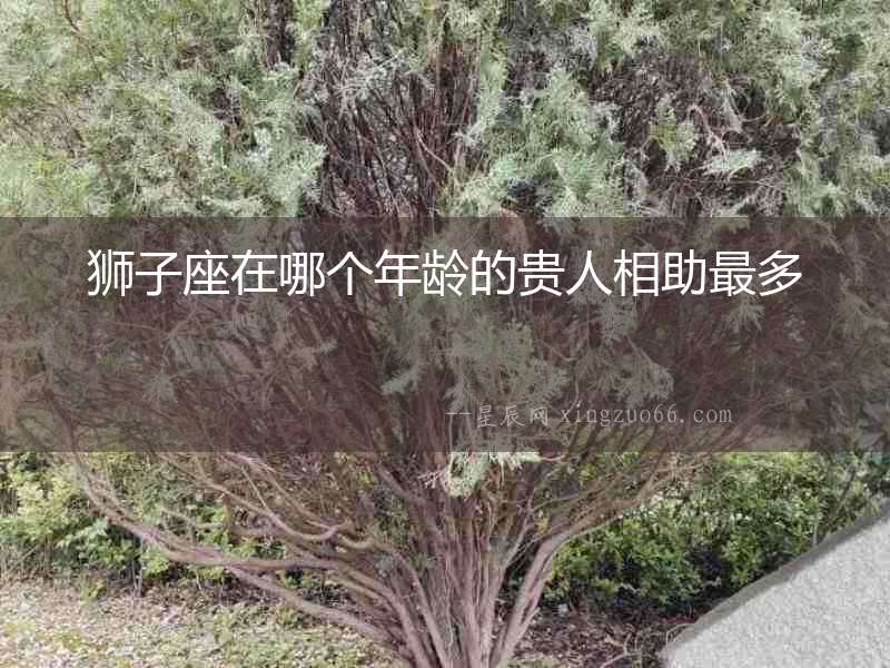 獅子座在哪個(gè)年齡的貴人相助最多