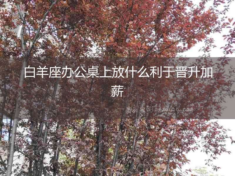 白羊座辦公桌上放什么利于晉升加薪