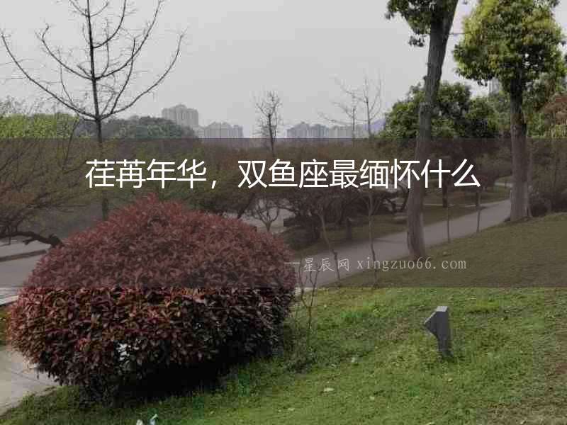 荏苒年華，雙魚座最緬懷什么