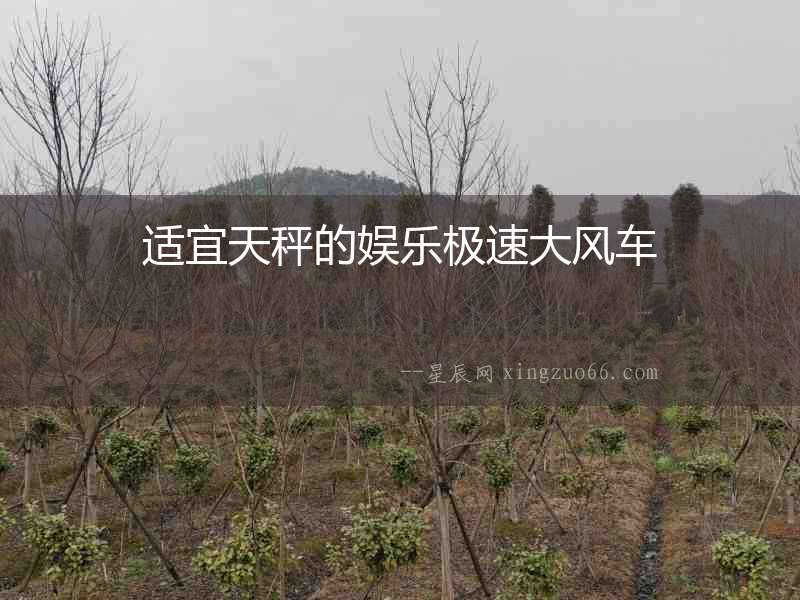 適宜天秤的娛樂極速大風車
