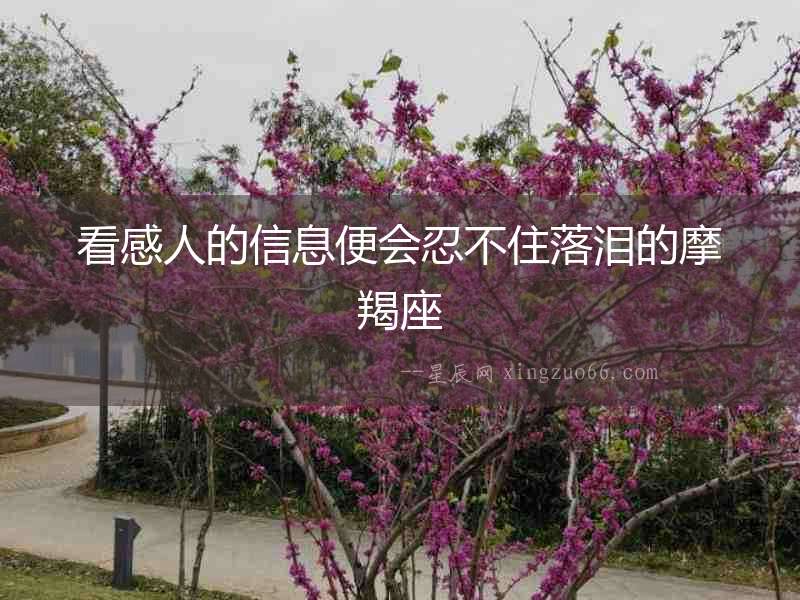 看感人的信息便會忍不住落淚的摩羯座