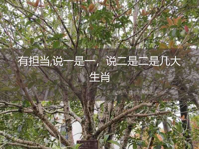 有擔當,說一是一，說二是二是幾大生肖