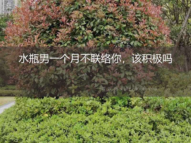 水瓶男一個月不聯絡你，該積極嗎