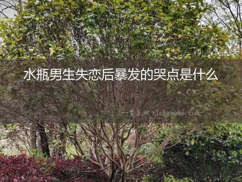 水瓶男生失戀后暴發(fā)的哭點(diǎn)是什么