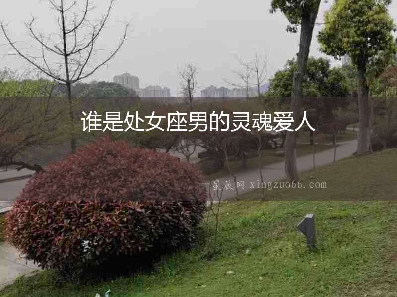 誰是處女座男的靈魂愛人