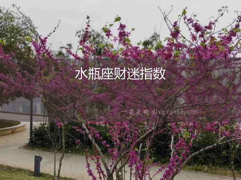 水瓶座財迷指數