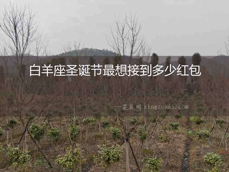 白羊座圣誕節(jié)最想接到多少紅包