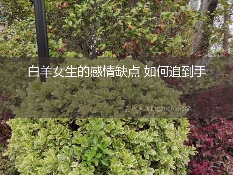 白羊女生的感情缺點 如何追到手