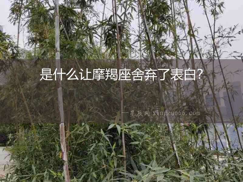 是什么讓摩羯座舍棄了表白？