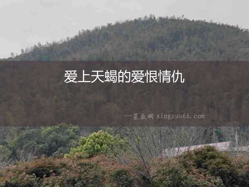 愛上天蝎的愛恨情仇