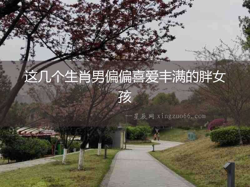 這幾個(gè)生肖男偏偏喜愛豐滿的胖女孩