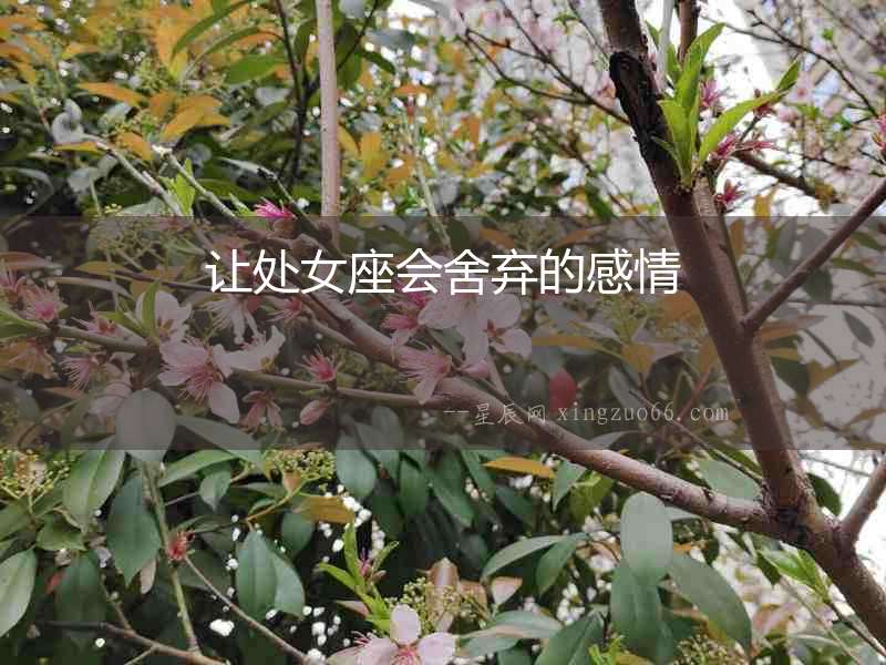 讓處女座會(huì)舍棄的感情