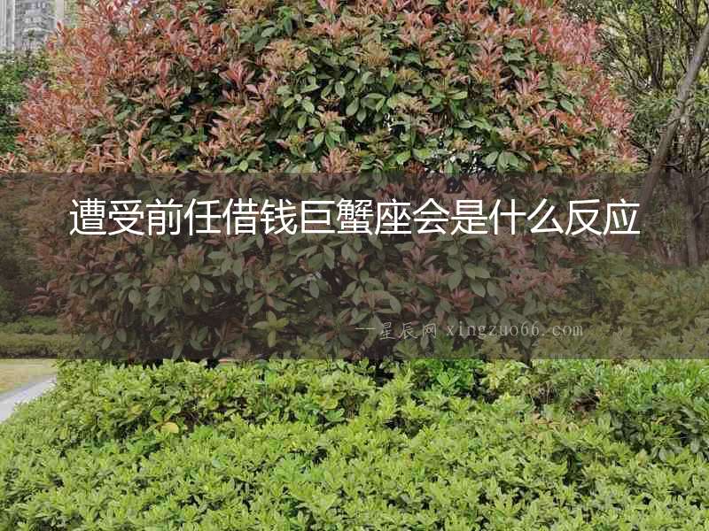 遭受前任借錢巨蟹座會是什么反應