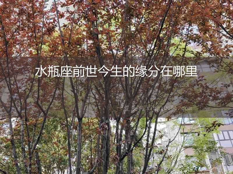 水瓶座前世今生的緣分在哪里
