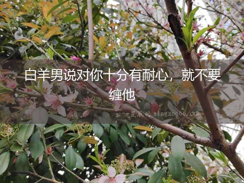 白羊男說對你十分有耐心，就不要纏他