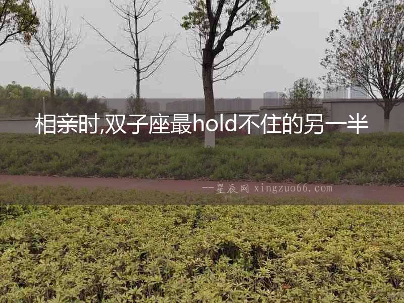 相親時(shí),雙子座最hold不住的另一半