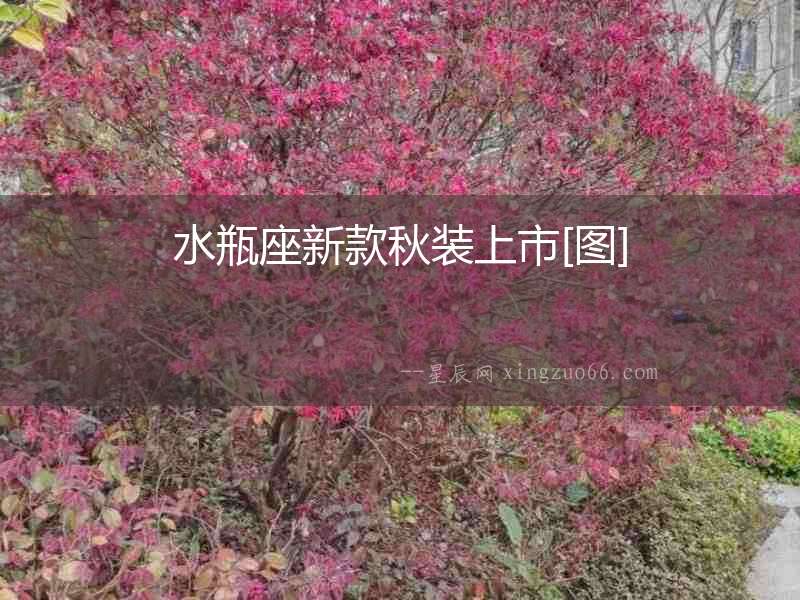 水瓶座新款秋裝上市[圖]