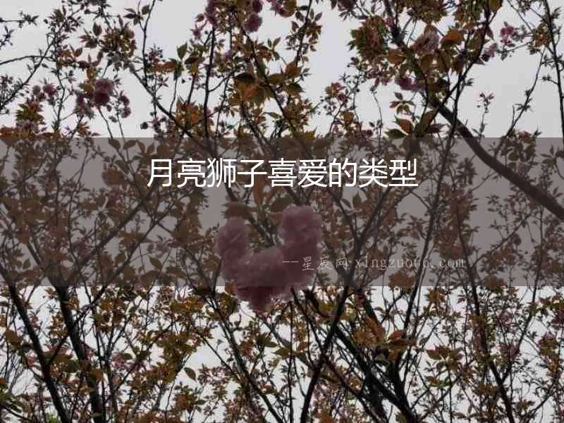 月亮獅子喜愛的類型