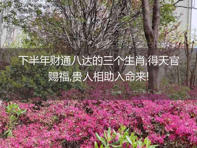 下半年財通八達的三個生肖,得天官賜福,貴人相助入命來!