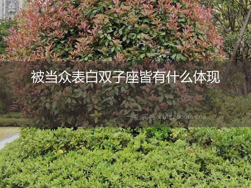 被當眾表白雙子座皆有什么體現