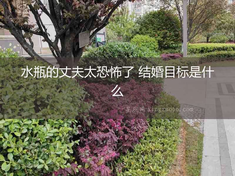 水瓶的丈夫太恐怖了 結(jié)婚目標(biāo)是什么