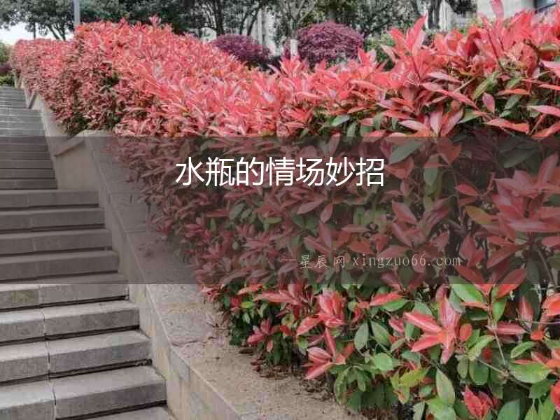 水瓶的情場妙招