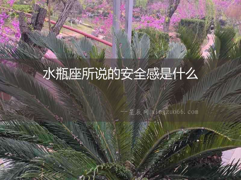 水瓶座所說的安全感是什么