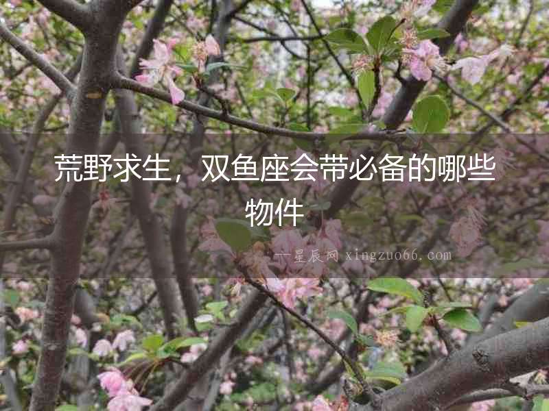 荒野求生，雙魚座會帶必備的哪些物件