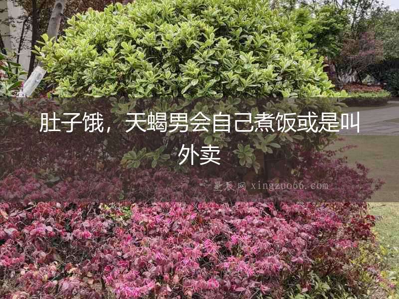 肚子餓，天蝎男會自己煮飯或是叫外賣