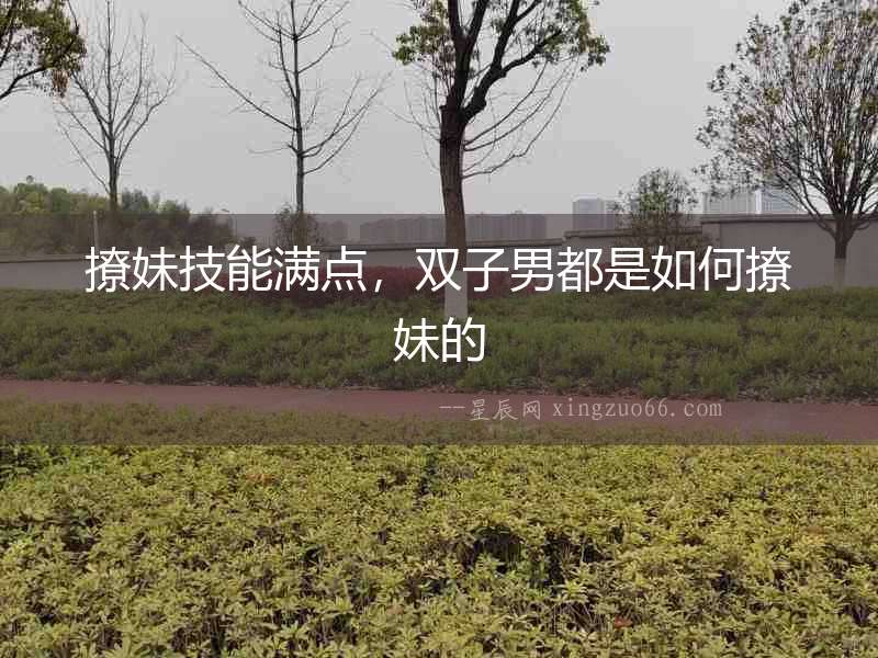 撩妹技能滿點，雙子男都是如何撩妹的