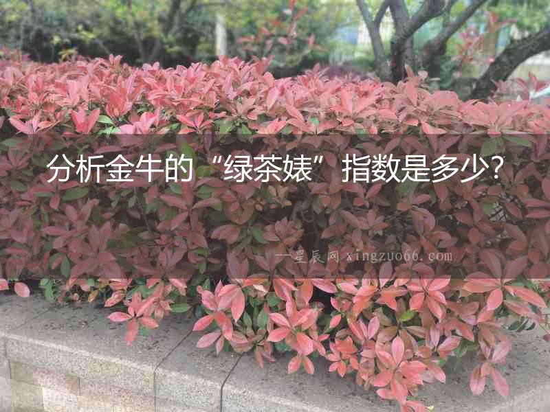 分析金牛的“綠茶婊”指數(shù)是多少？