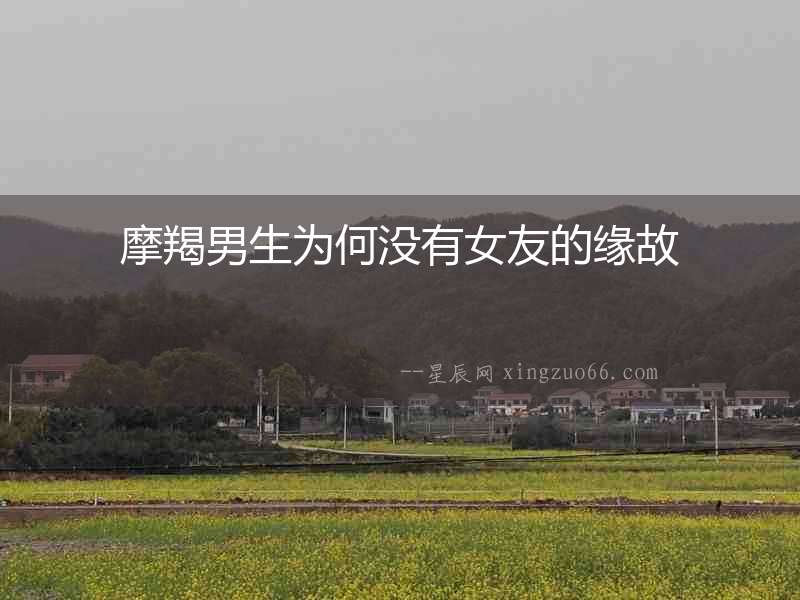 摩羯男生為何沒有女友的緣故