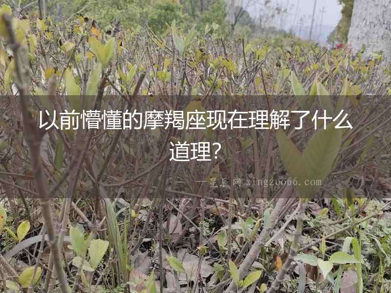 以前懵懂的摩羯座現在理解了什么道理？