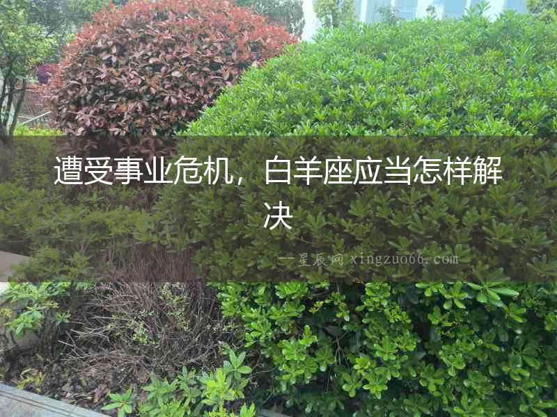 遭受事業(yè)危機，白羊座應(yīng)當(dāng)怎樣解決