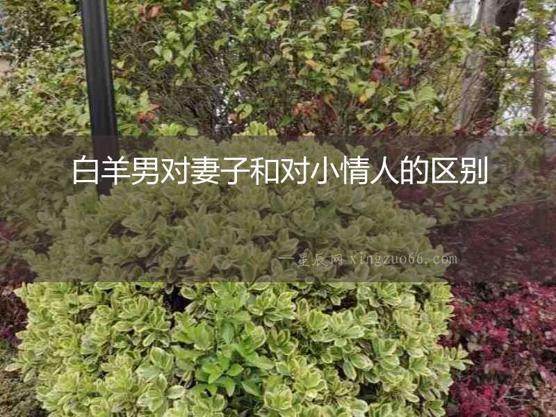 白羊男對(duì)妻子和對(duì)小情人的區(qū)別