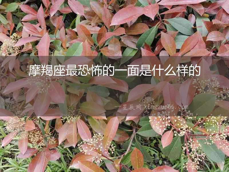 摩羯座最恐怖的一面是什么樣的