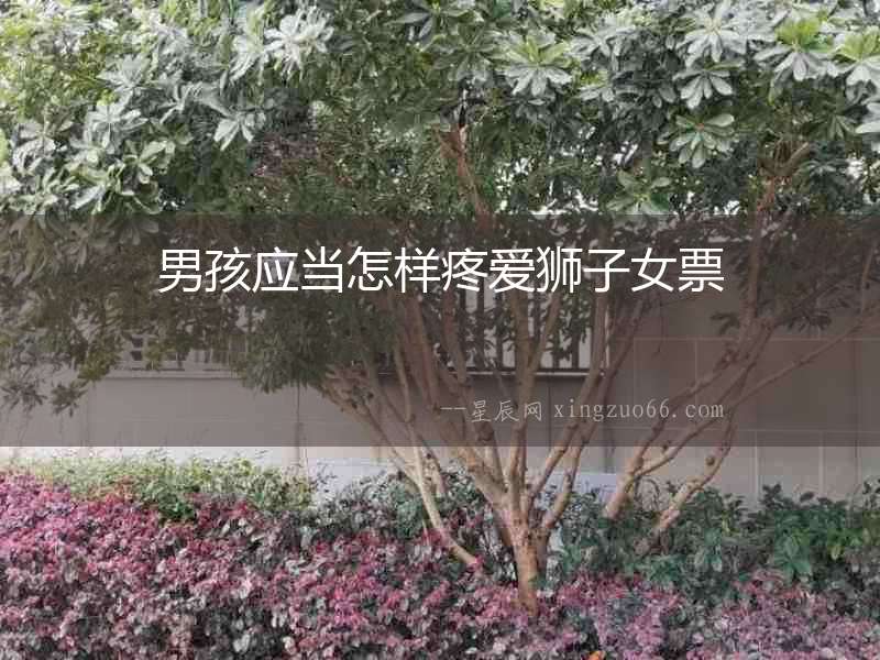 男孩應(yīng)當(dāng)怎樣疼愛(ài)獅子女票