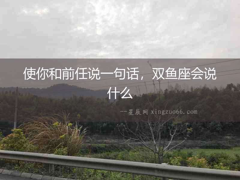 使你和前任說一句話，雙魚座會說什么